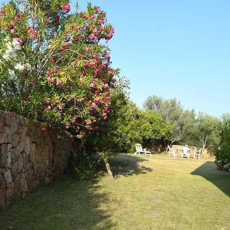 Holiday home Villetta Ciprea Pittulongu